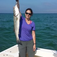 Monomoy Island Striped Bass Charter Fishing