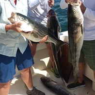 Guided fishing charters for families Chatham