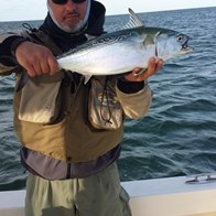 Cape Cod fishing charters in Chatham